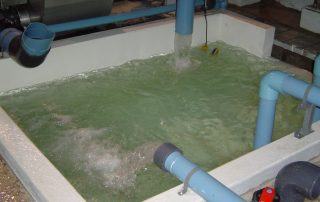 pinturas-en-Hogar-y/o-empresa17